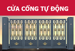 Thông tin đầu trang